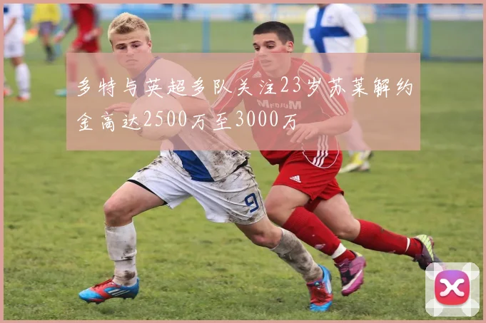 多特与英超多队关注23岁苏莱解约金高达2500万至3000万