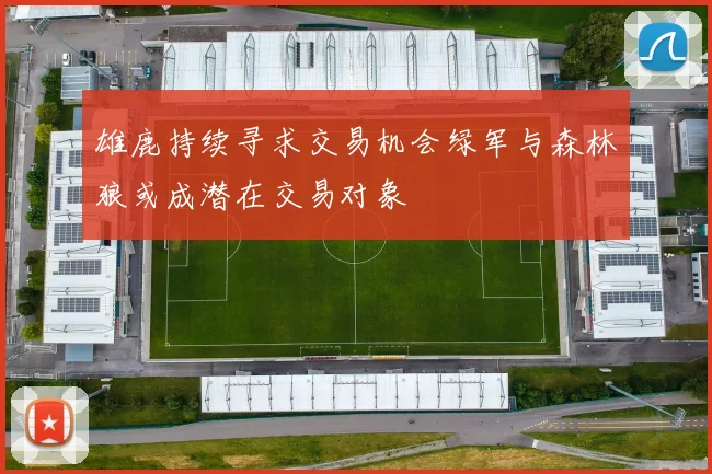 雄鹿持续寻求交易机会绿军与森林狼或成潜在交易对象